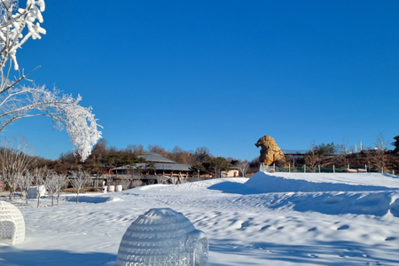 눈이 쌓여있는 테마파크의 모습